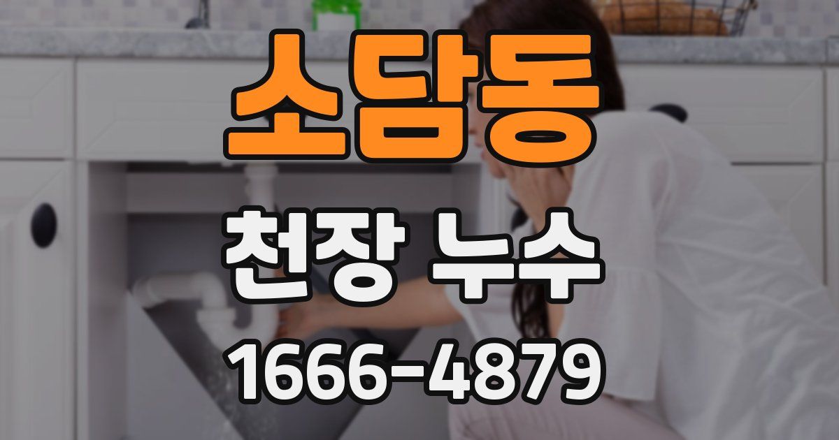 소담동 천장 누수