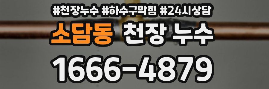 소담동 천장 누수