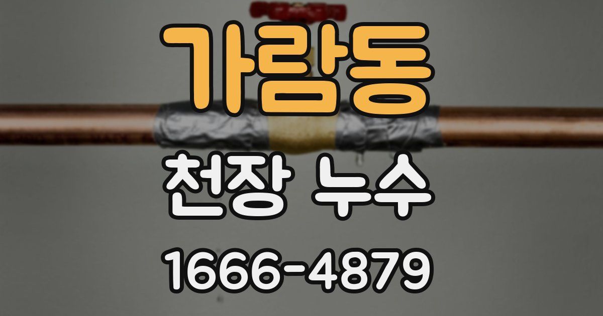 가람동 천장 누수