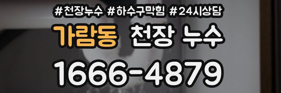 가람동 천장 누수