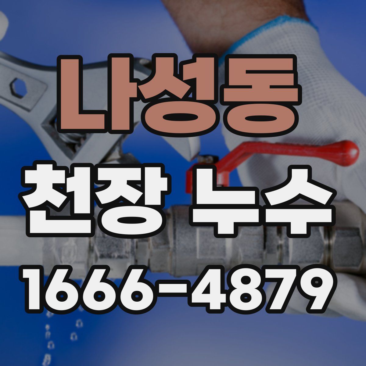 나성동 천장 누수