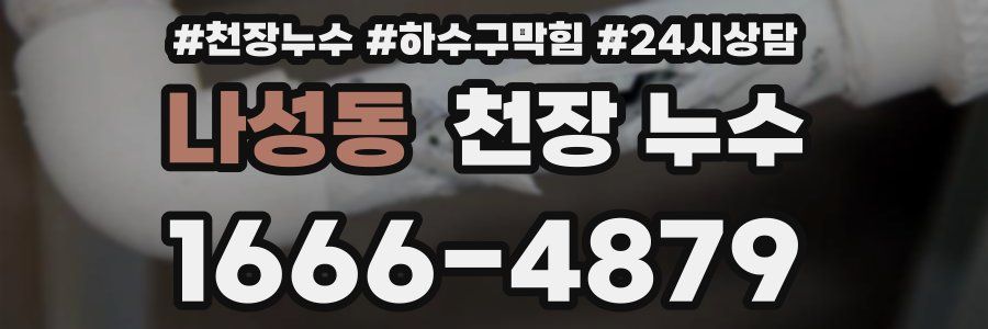 나성동 천장 누수