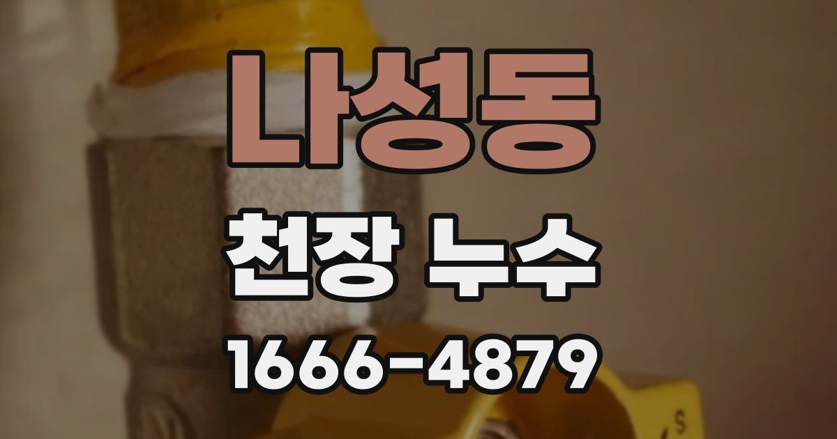 나성동 천장 누수