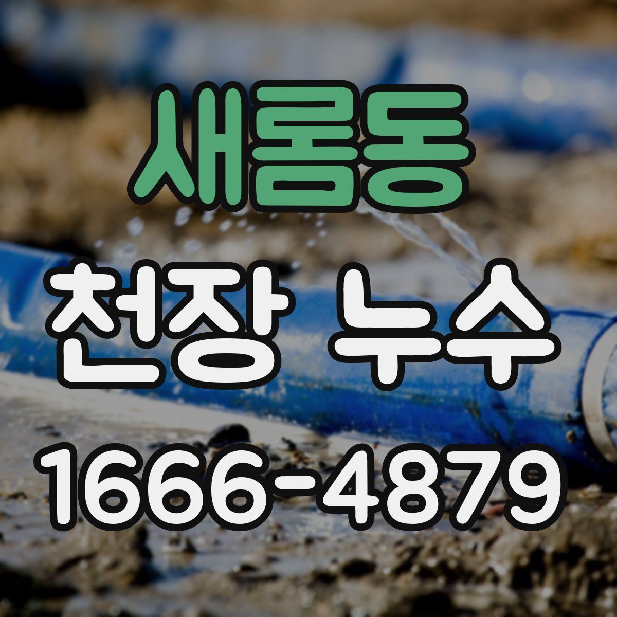 새롬동 천장 누수