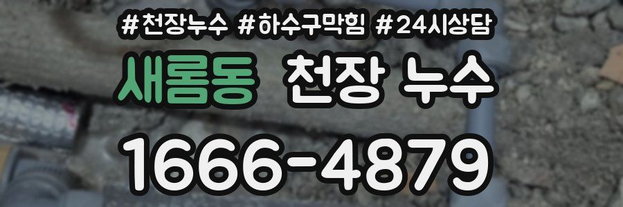 새롬동 천장 누수