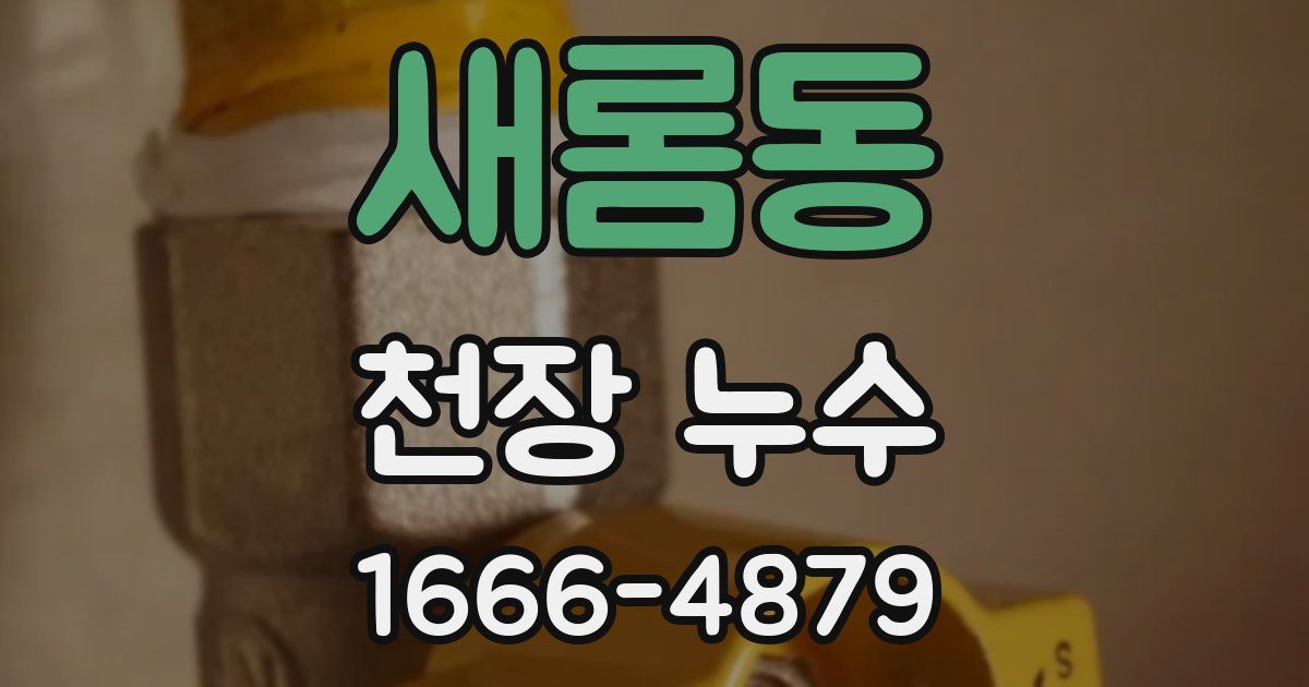 새롬동 천장 누수