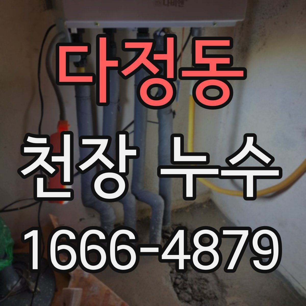 다정동 천장 누수 다운라이트 주변이 젖으면 전기 위험이 커집니다
