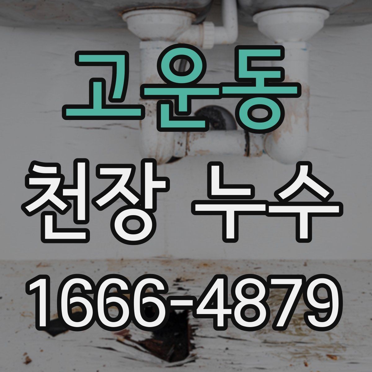고운동 천장 누수 보이지만 사실은 환기 문제일 수도