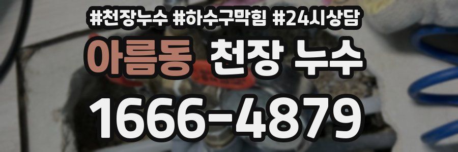 아름동 천장 누수