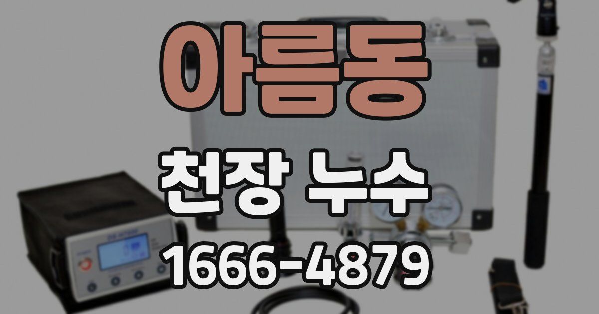 아름동 천장 누수