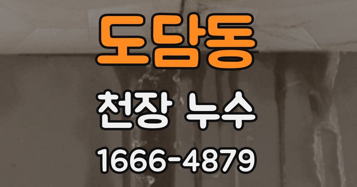 도담동 천장 누수