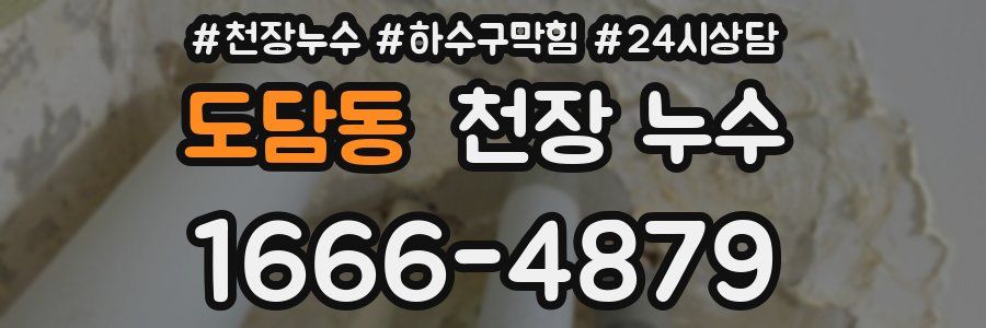 도담동 천장 누수