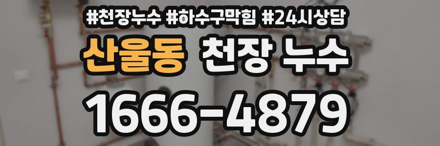 산울동 천장 누수