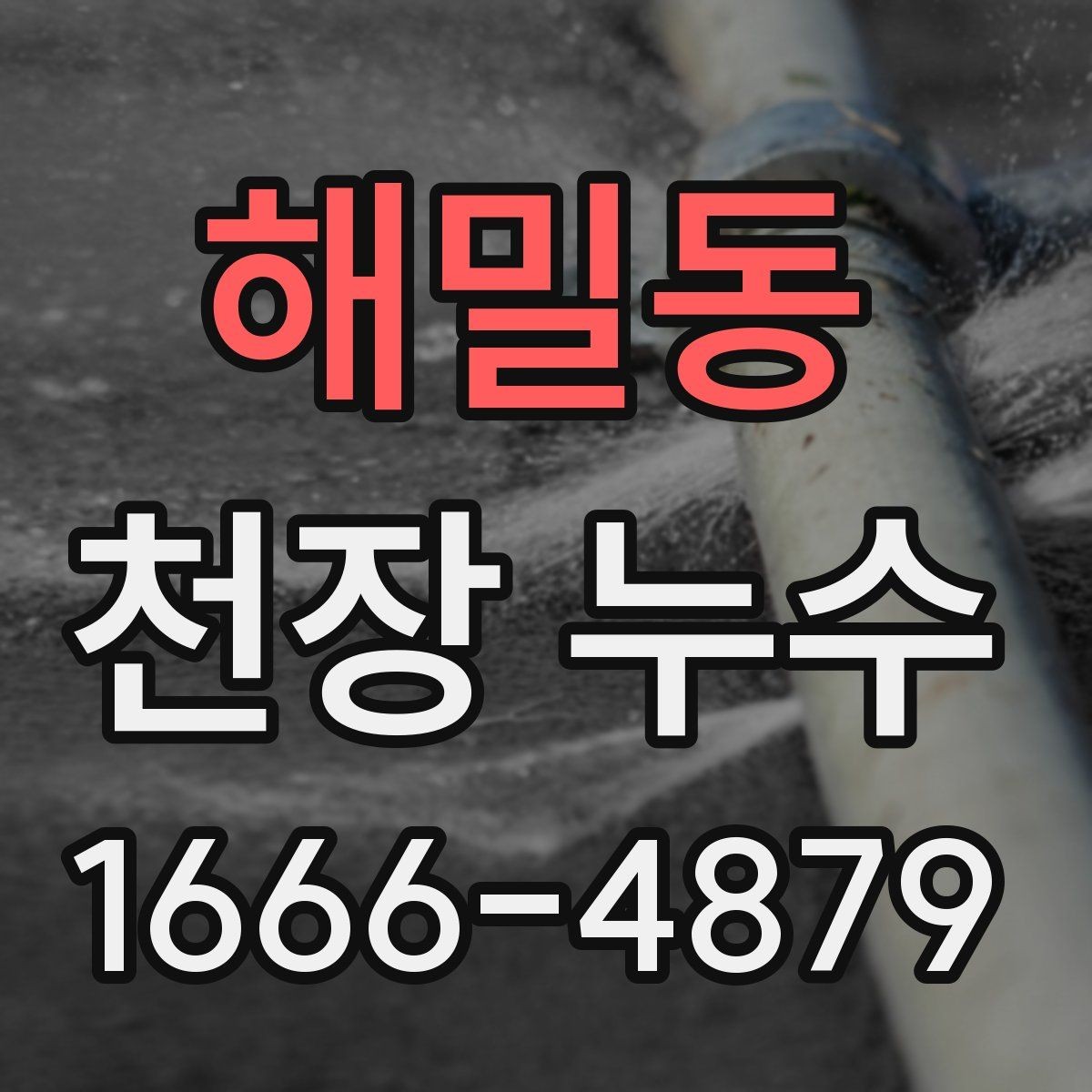 해밀동 천장 누수 결로의 결정적 차이