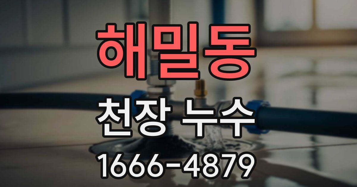 해밀동 천장 누수