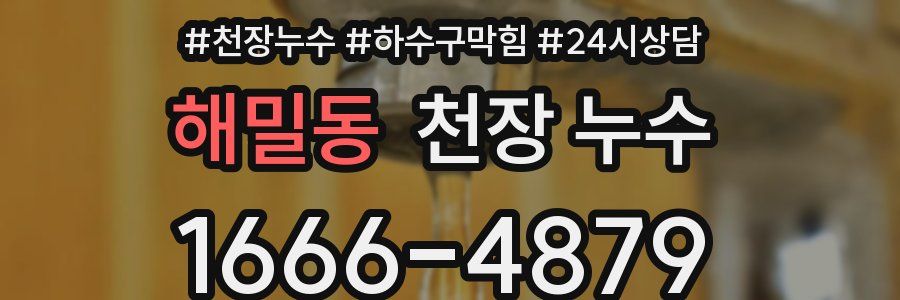 해밀동 천장 누수