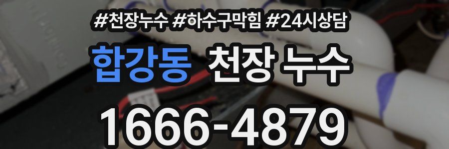 합강동 천장 누수