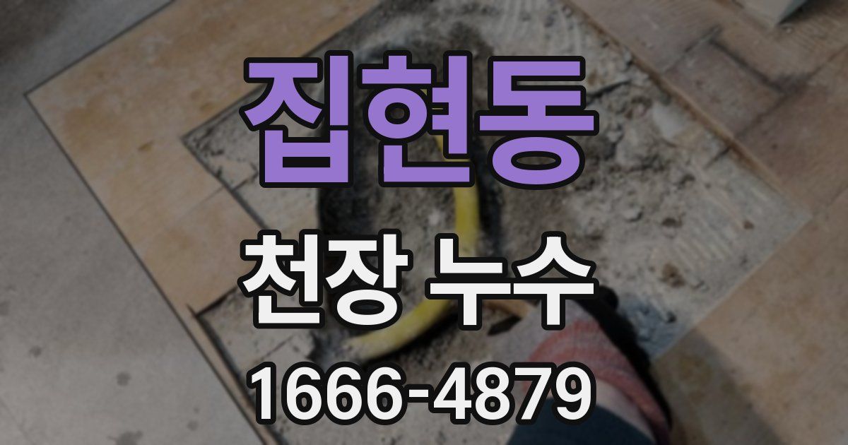 집현동 천장 누수