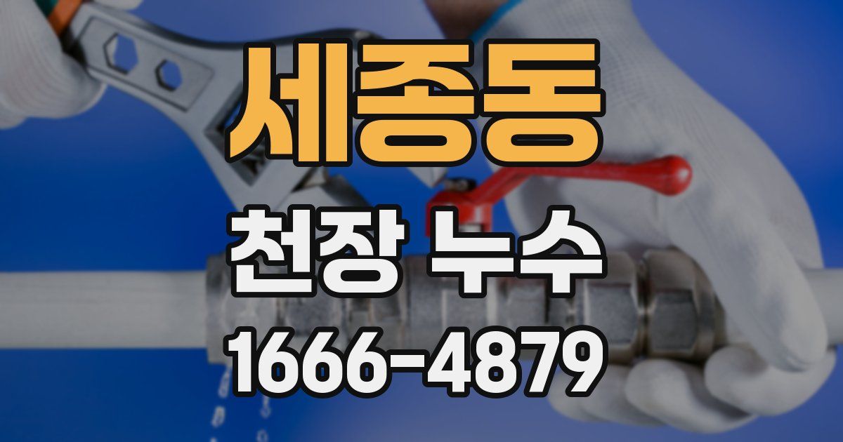 세종동 천장 누수