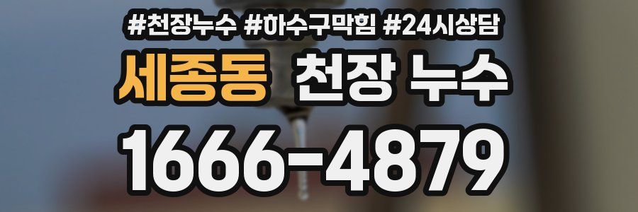 세종동 천장 누수