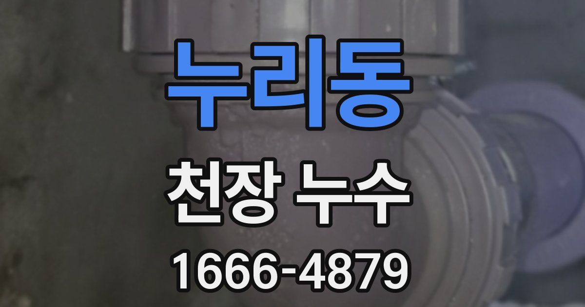 누리동 천장 누수