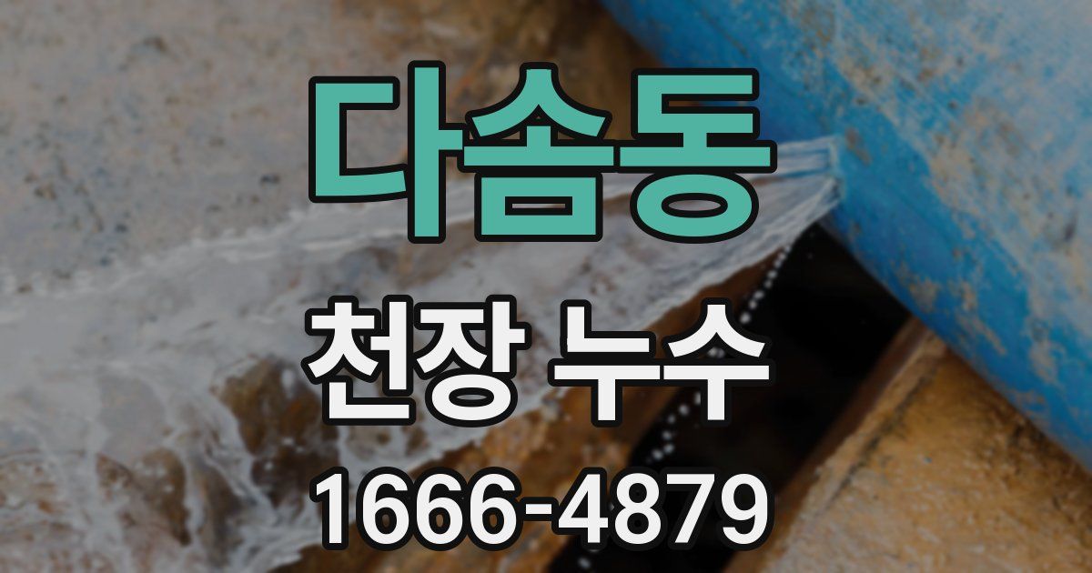 다솜동 천장 누수