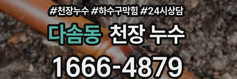 다솜동 천장 누수