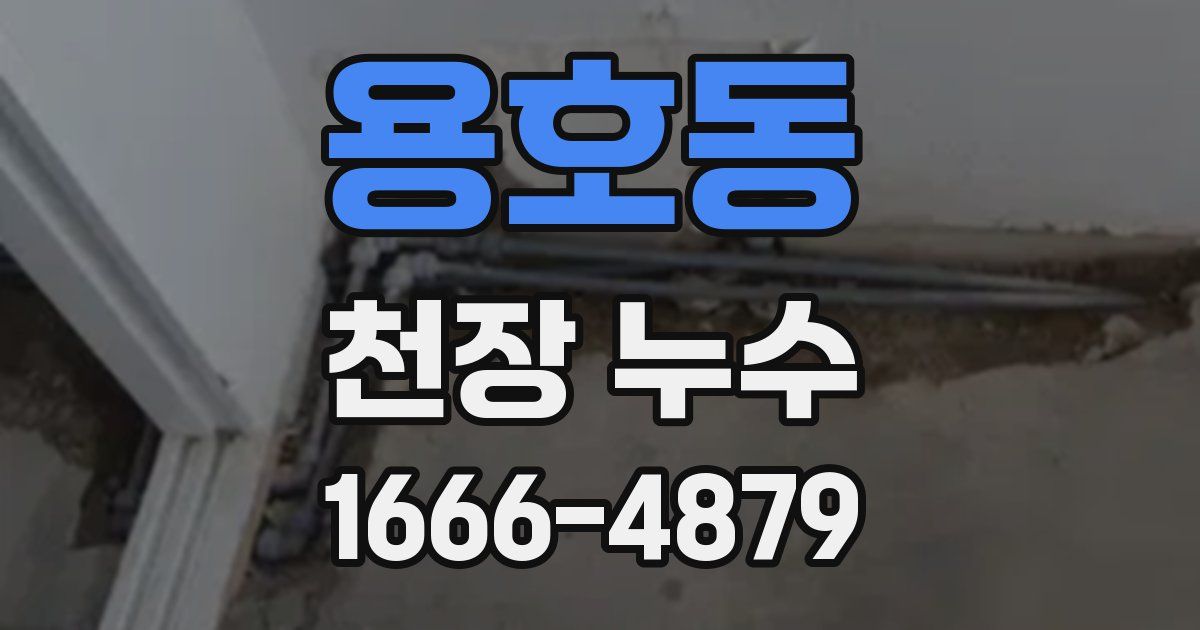 용호동 천장 누수