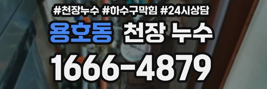 용호동 천장 누수