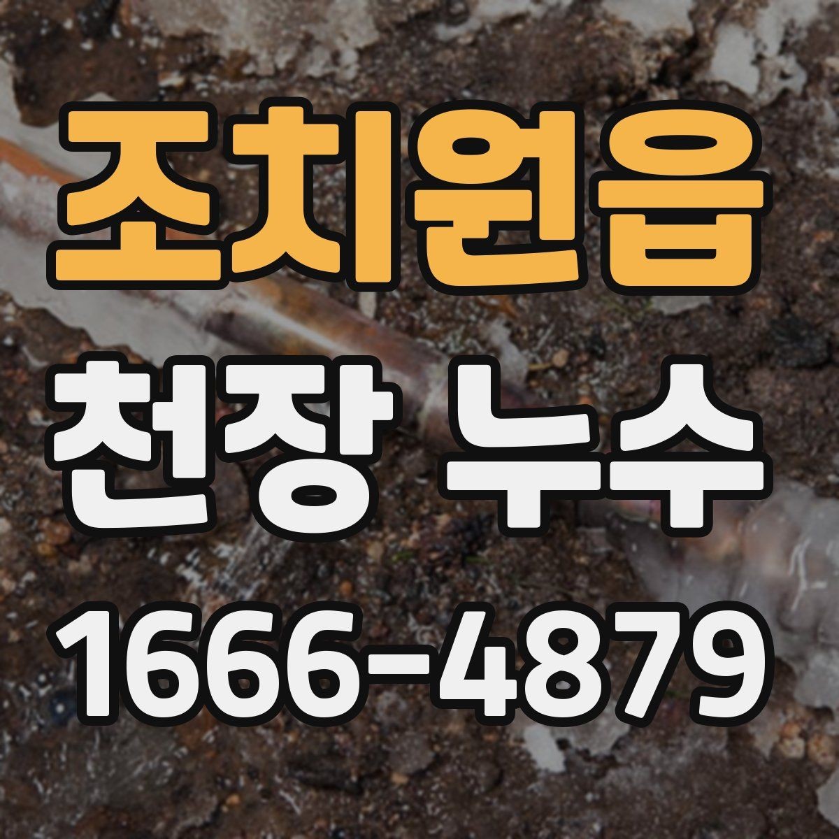 조치원읍 천장 누수 배수 호스 문제로 천장에 물자국이 생길 때
