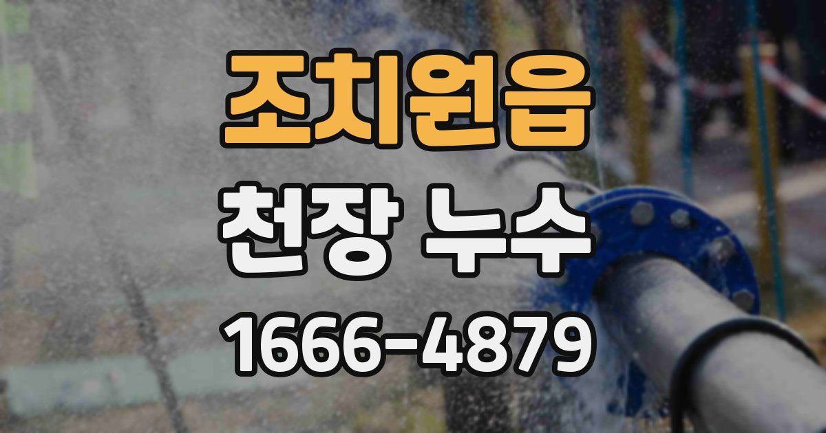 조치원읍 천장 누수