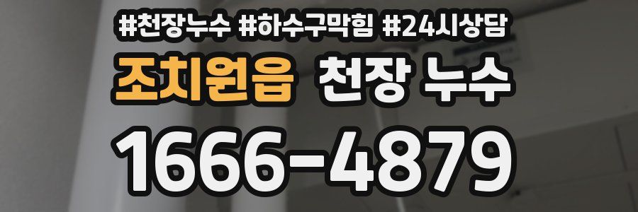 조치원읍 천장 누수