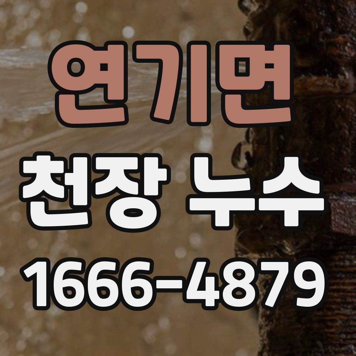 연기면 천장 누수 관리사무소와 빠르게 공유하면 좋은 내용