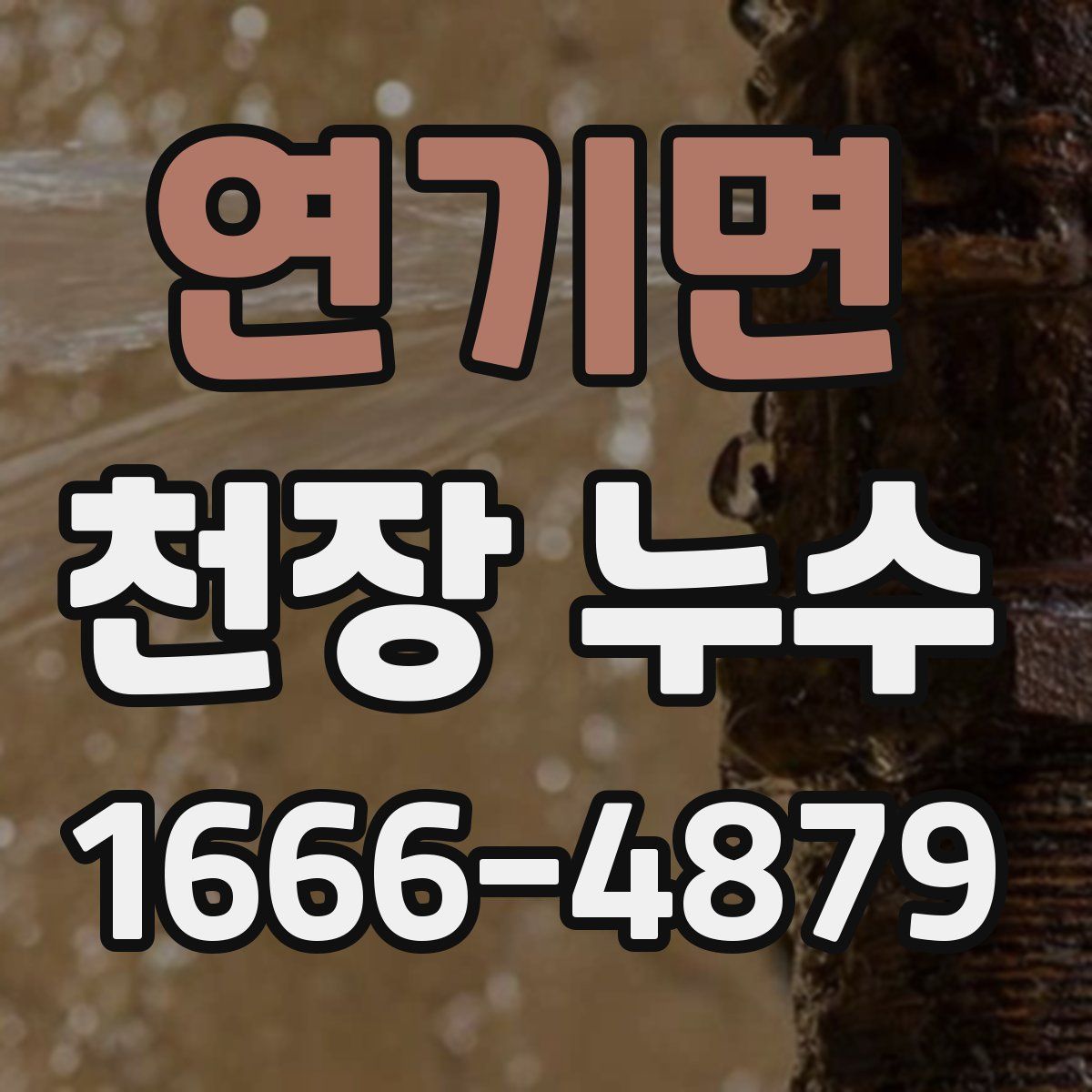 연기면 천장 누수