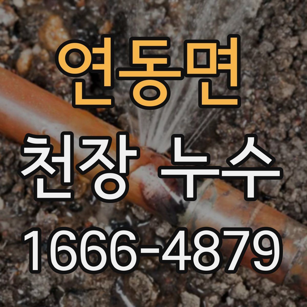 연동면 천장 누수 전등 주변이 젖을 때 주의
