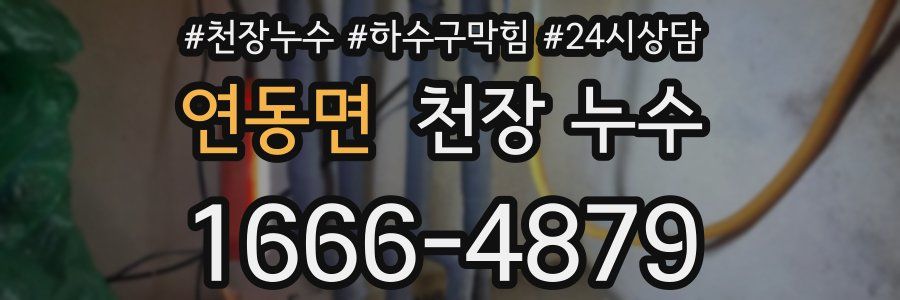 연동면 천장 누수