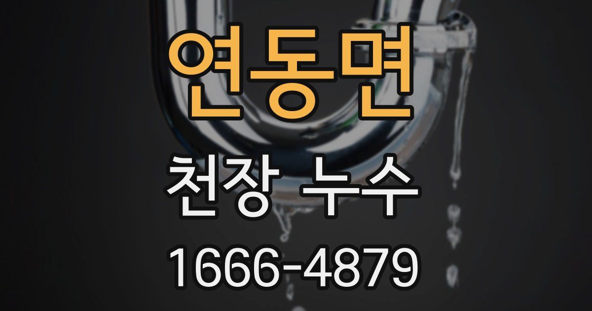 연동면 천장 누수