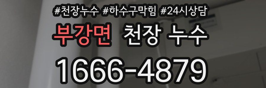 부강면 천장 누수