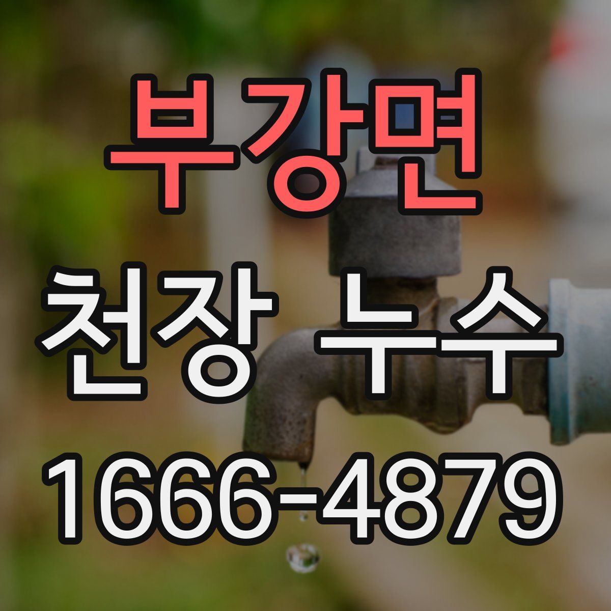 부강면 천장 누수