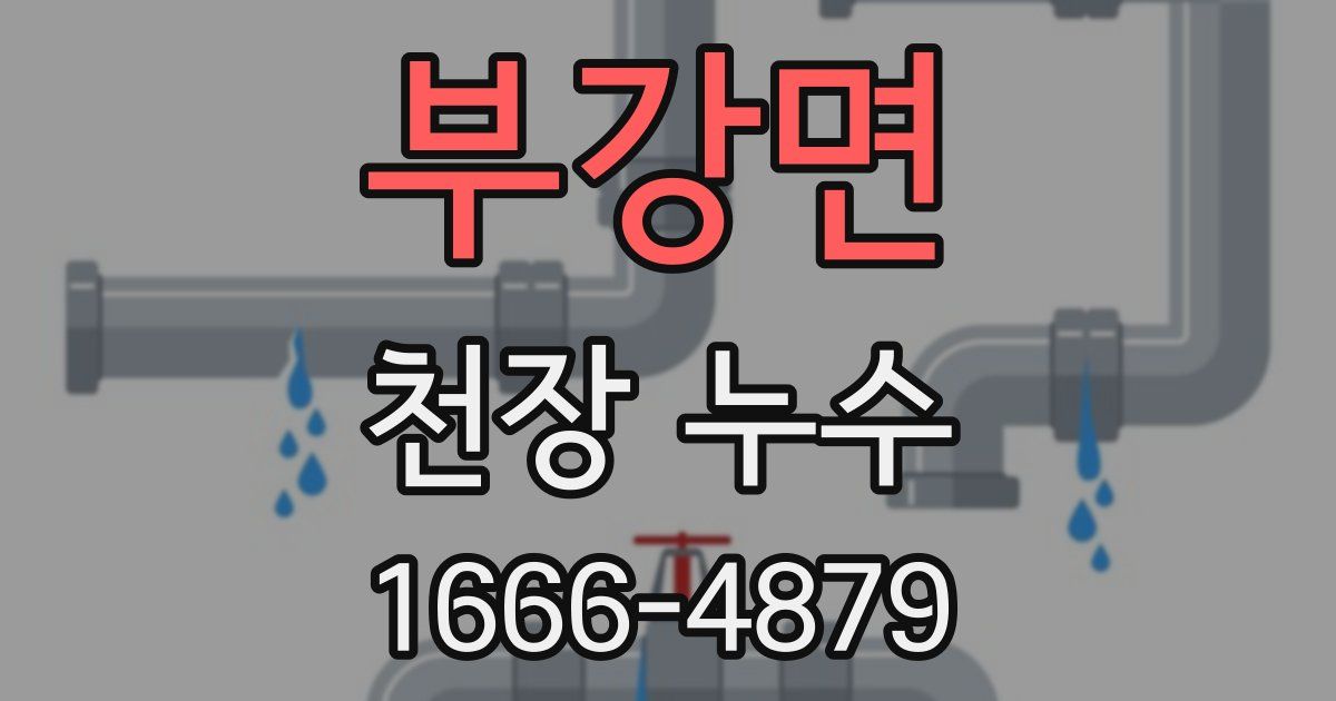 부강면 천장 누수