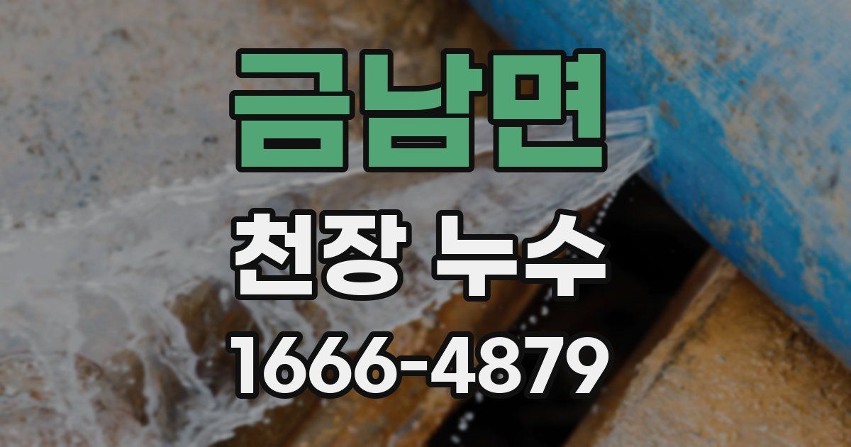 금남면 천장 누수