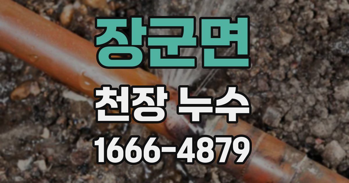 장군면 천장 누수