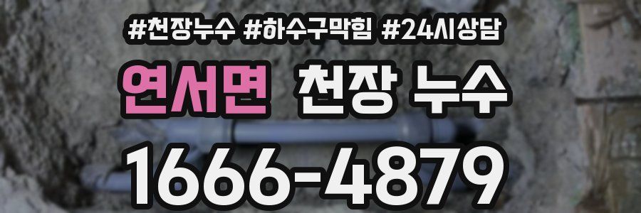 연서면 천장 누수