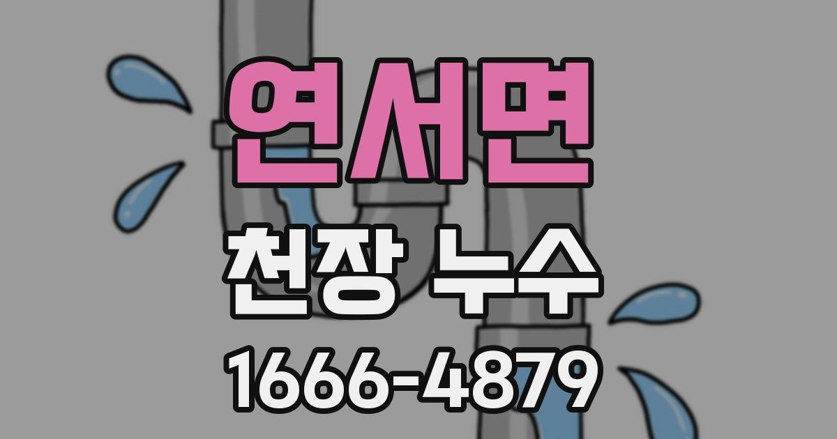 연서면 천장 누수