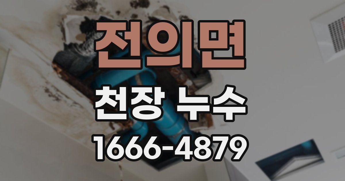 전의면 천장 누수