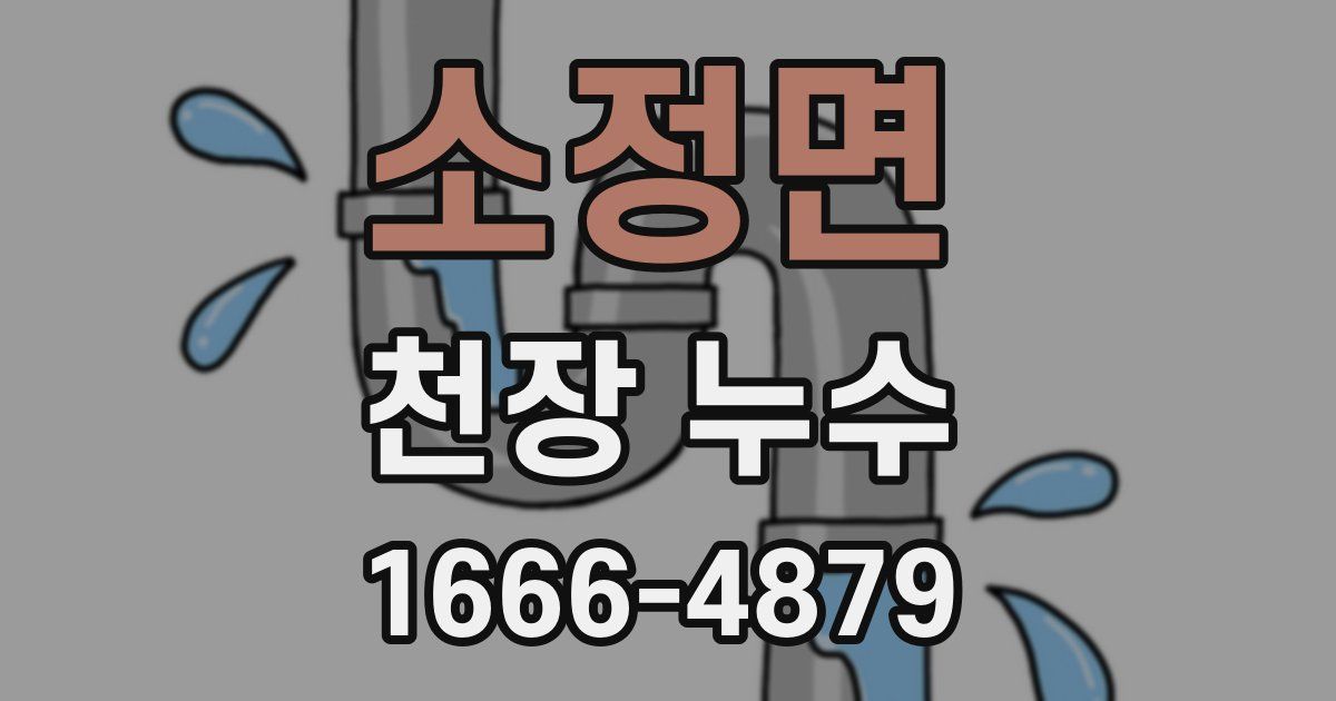 소정면 천장 누수