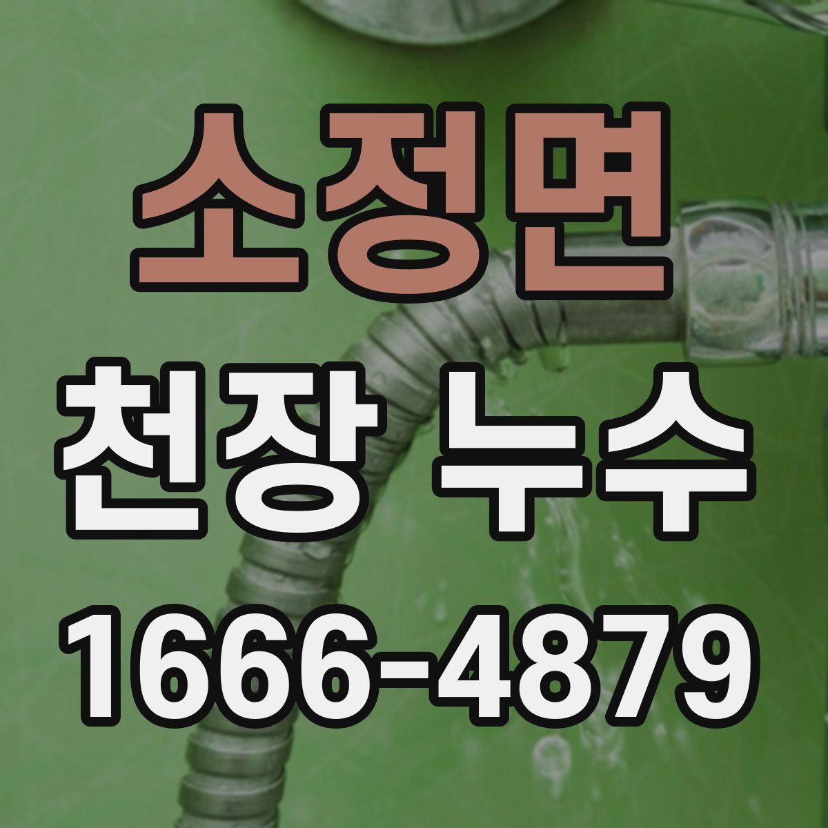 소정면 천장 누수