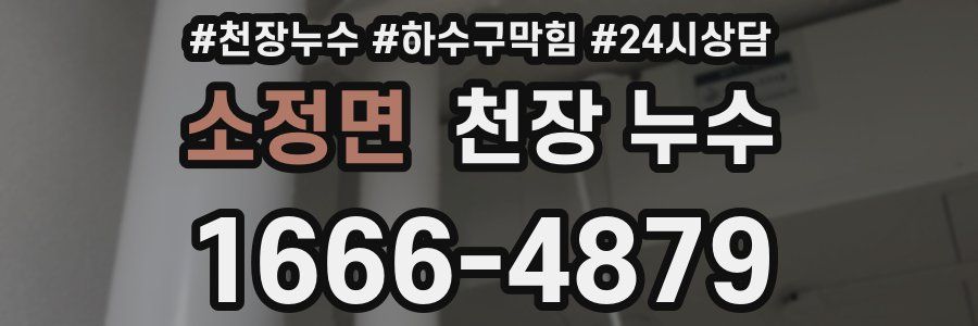 소정면 천장 누수