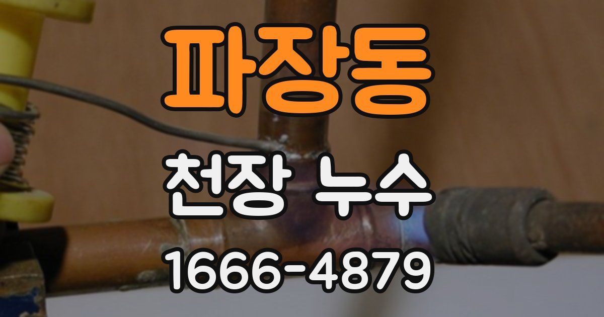 파장동 천장 누수