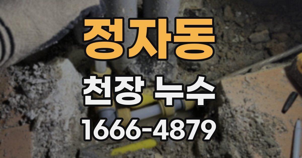 정자동 천장 누수